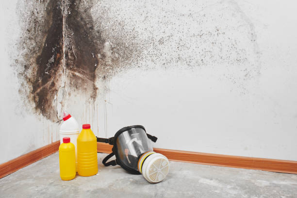 Best Residential Mold Removal  in Rockwell, NC