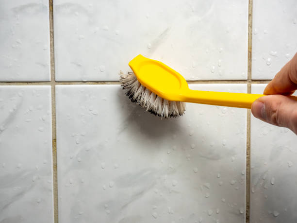 Best Mold Remediation  in Rockwell, NC