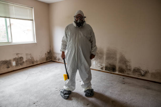 Best Affordable Mold Removal  in Rockwell, NC