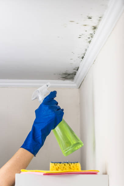 Best Emergency Mold Removal  in Rockwell, NC